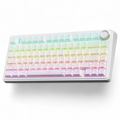 Aula F75 HE White Contour, RGB Gasket Tri-Mode Bluetooth Wireless, Hall Effect (Magnetica), Tastatura Gaming, Layout 75%, Alb