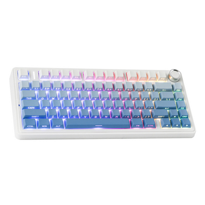 Aula F75 Blue gradient (Side-Printed), Hotswap RGB Gasket Bluetooth Wireless, Tastatura Mecanica Gaming, Albastru