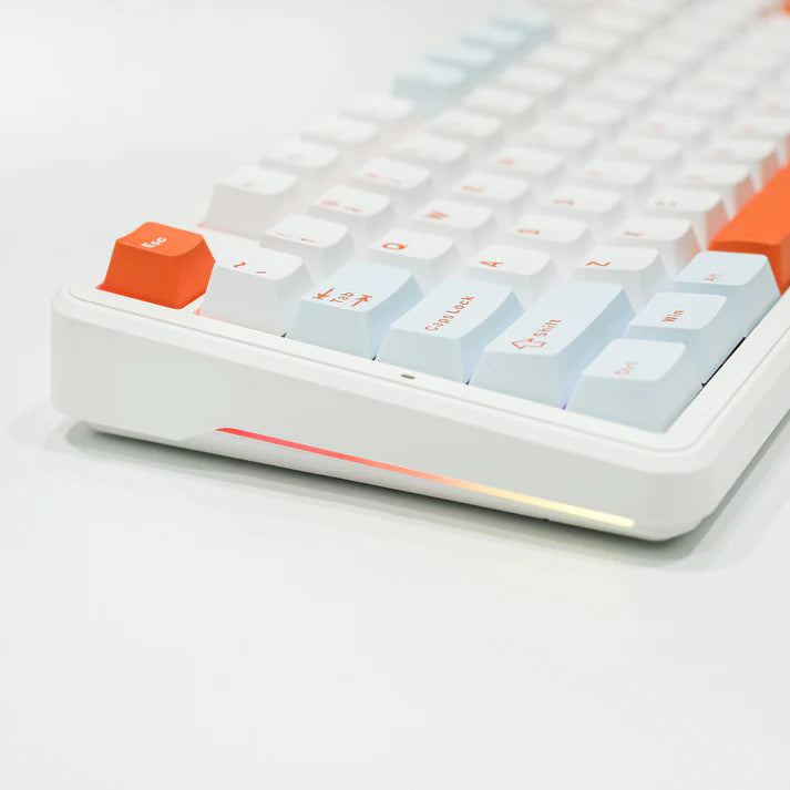 Aula F87 PRO White Blue, Hotswap RGB Gasket Bluetooth Wireless, Tastatura Mecanica Gaming, Alb