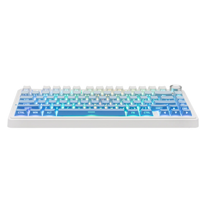 Aula F75 Blue gradient (Side-Printed), Hotswap RGB Gasket Bluetooth Wireless, Tastatura Mecanica Gaming, Albastru