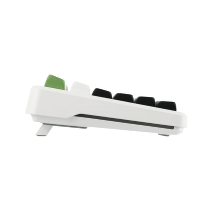 Aula F87 PRO White Green, Hotswap RGB Gasket Bluetooth Wireless, Tastatura Mecanica Gaming, Alb