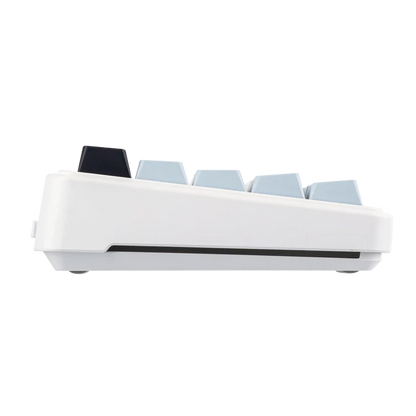 Aula F65 White Blue, Hotswap RGB Gasket Bluetooth Wireless, Tastatura Mecanica Gaming, Alb