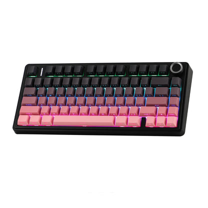 Aula F75 Pink gradient (Side-Printed), Hotswap RGB Gasket Bluetooth Wireless Tastatura Mecanica Gaming, Roz