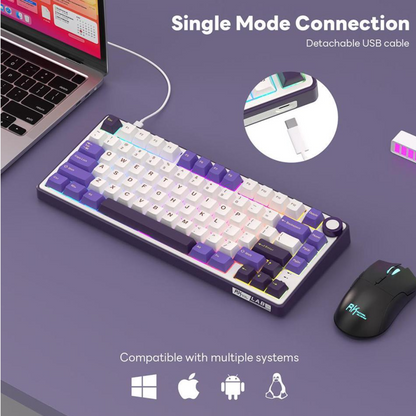 Royal Kludge R75 Mov Hotswap RGB Gasket Mounted Tastatura Mecanica Gaming