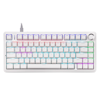 Aula F75 White, Hotswap RGB Gasket Wired, Tastatura Mecanica Gaming, Alb cu Fir