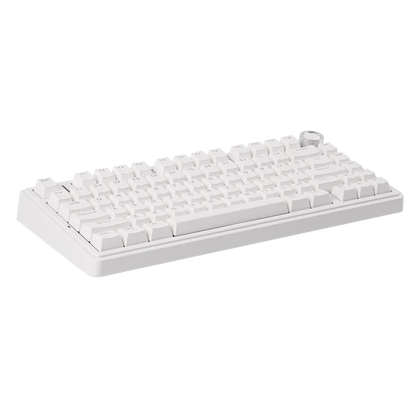 Aula F75 White, Hotswap RGB Gasket Wired, Tastatura Mecanica Gaming, Alb cu Fir